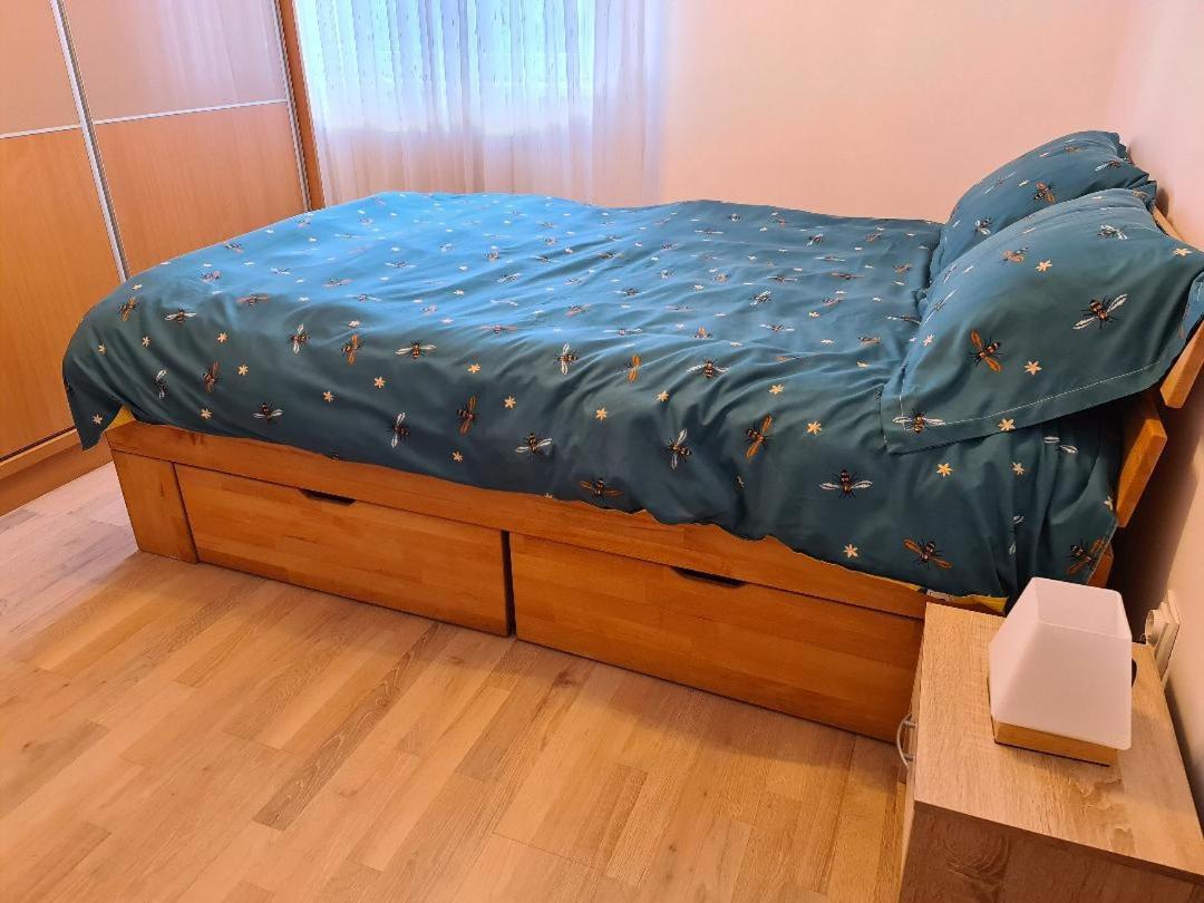 Apartmán Central Cosy Apart Oradea Exteriér fotografie