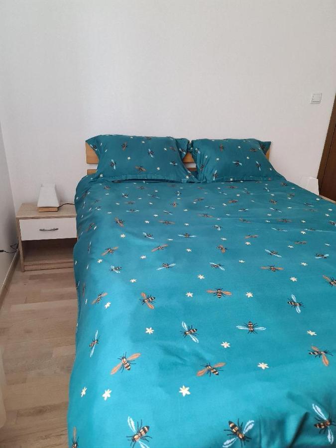 Apartmán Central Cosy Apart Oradea Exteriér fotografie